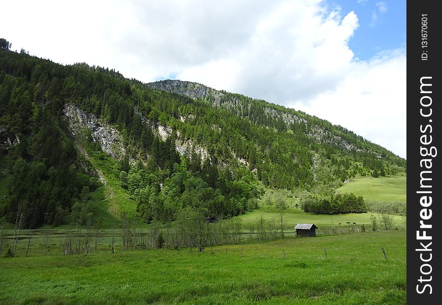 Grassland, Ecosystem, Highland, Mountainous Landforms