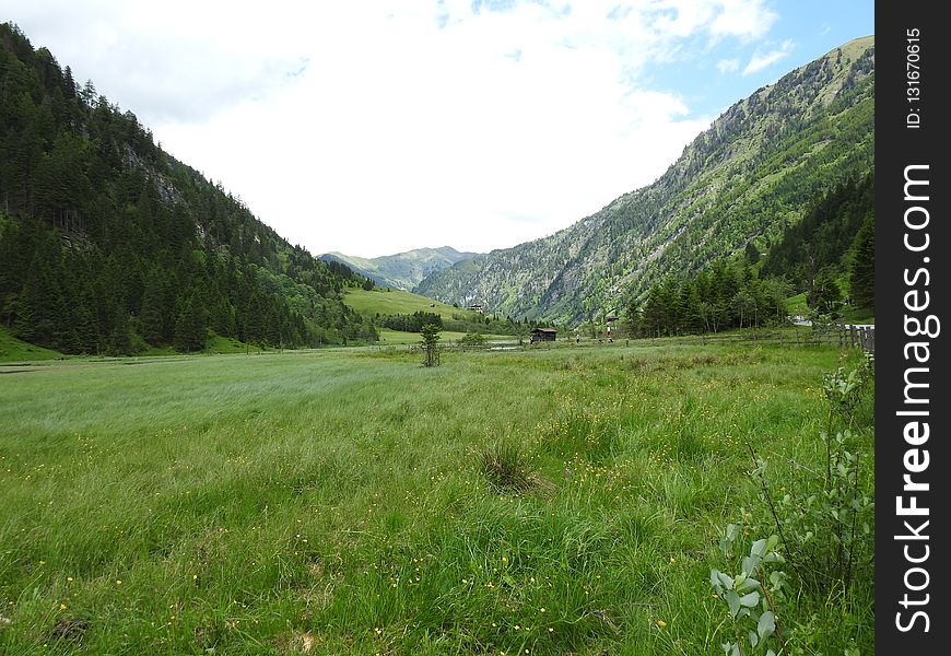 Grassland, Pasture, Nature Reserve, Ecosystem