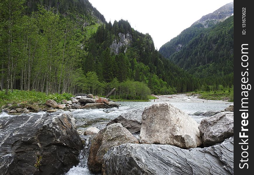 Wilderness, River, Nature Reserve, Stream