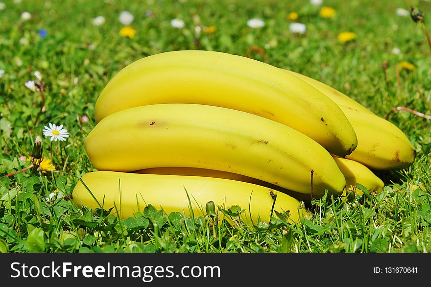 Yellow, Banana, Produce, Banana Family