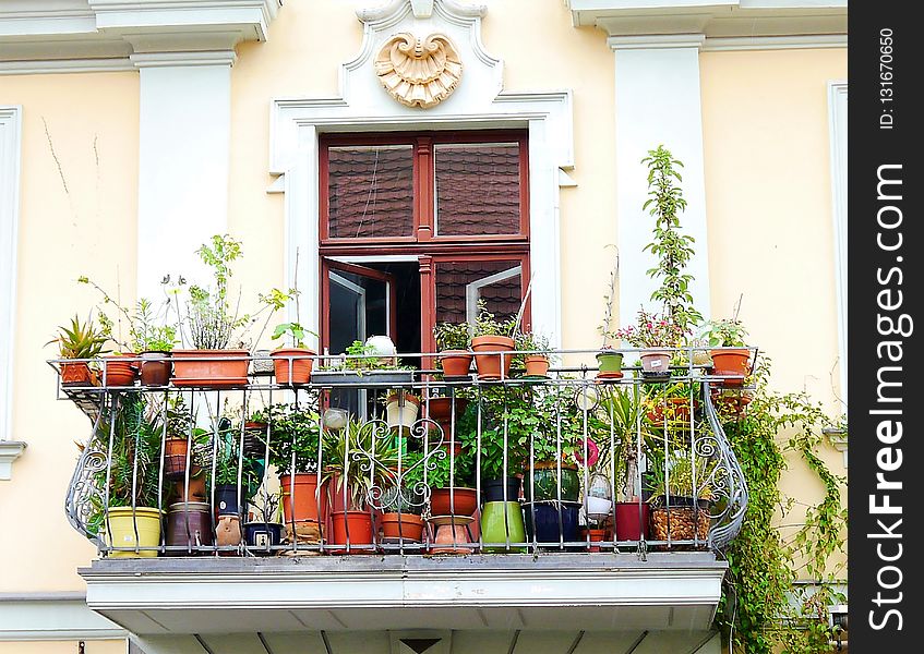 Floristry, Flower, Balcony, Flowerpot