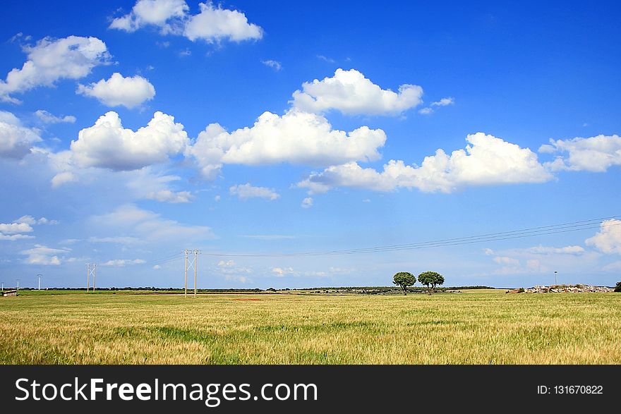 Sky, Grassland, Cloud, Prairie