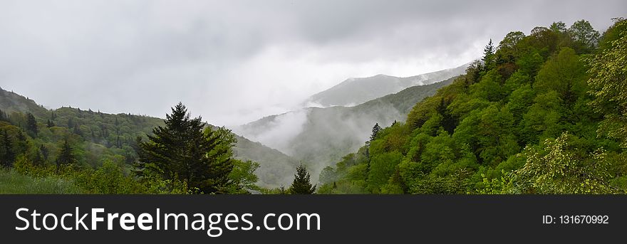 Nature, Highland, Vegetation, Nature Reserve