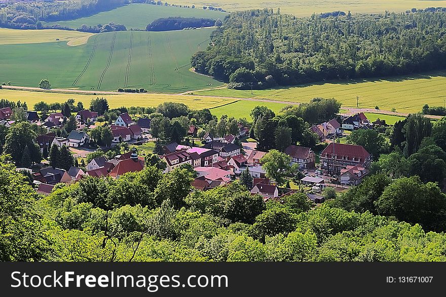 Nature, Vegetation, Mountain Village, Tree