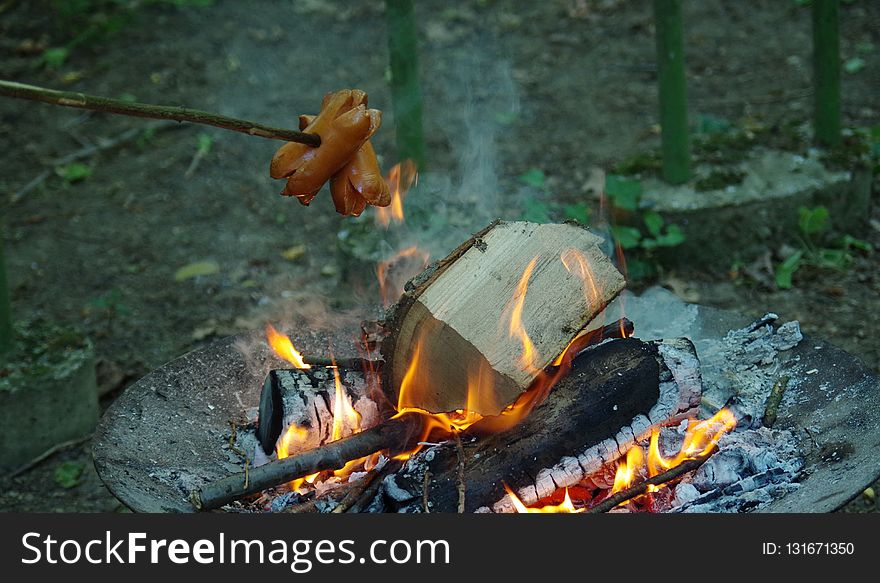 Campfire, Fire, Animal Source Foods, Forest