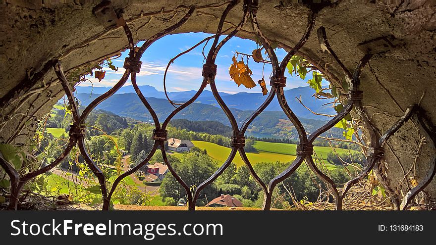 Tree, Plant, Branch, Arch