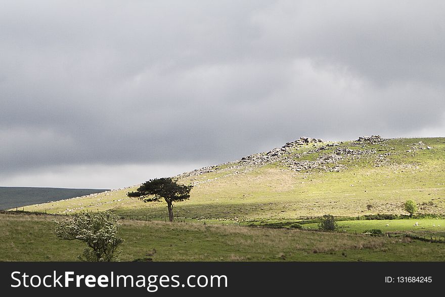 Grassland, Ecosystem, Sky, Pasture