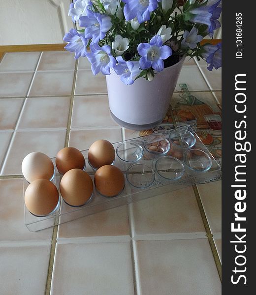 Egg, Table, Ceramic, Flooring
