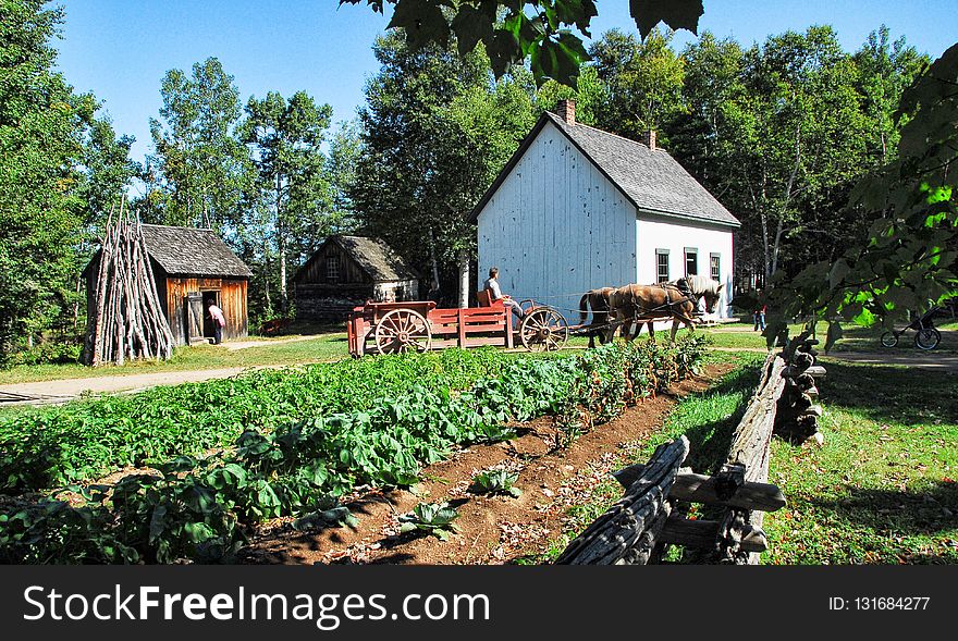 Farm, Rural Area, Tree, Cottage