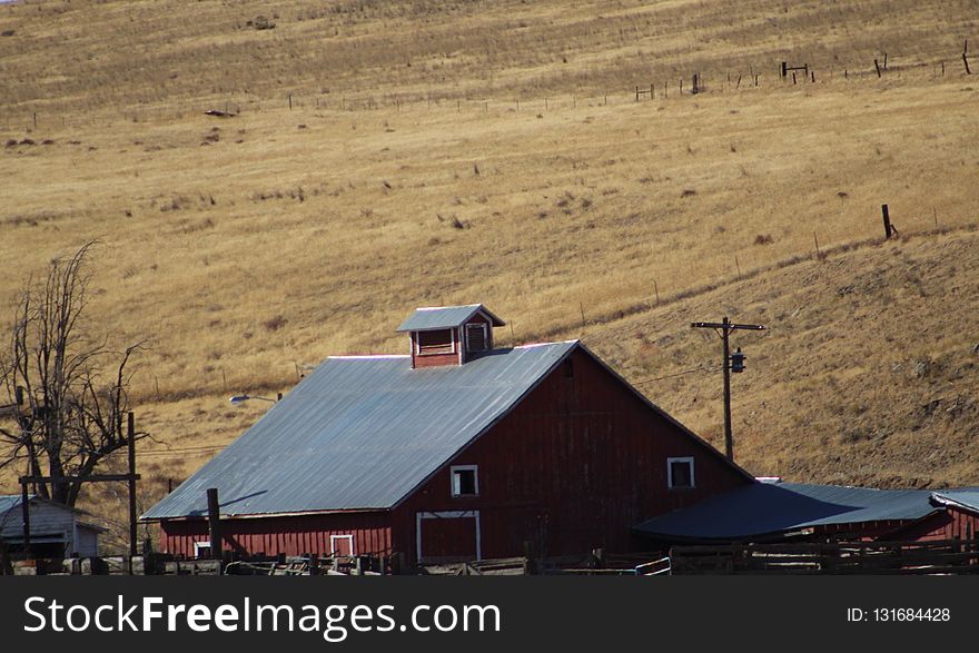 Barn, Farm, Rural Area, Ranch