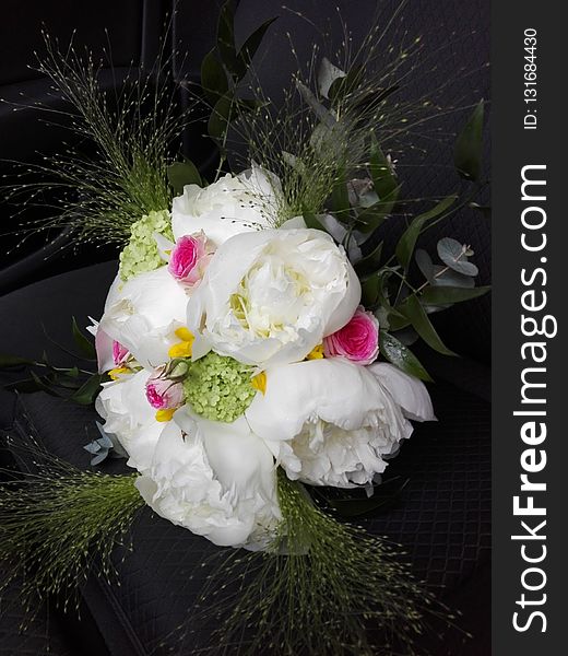Flower, White, Flower Bouquet, Floristry