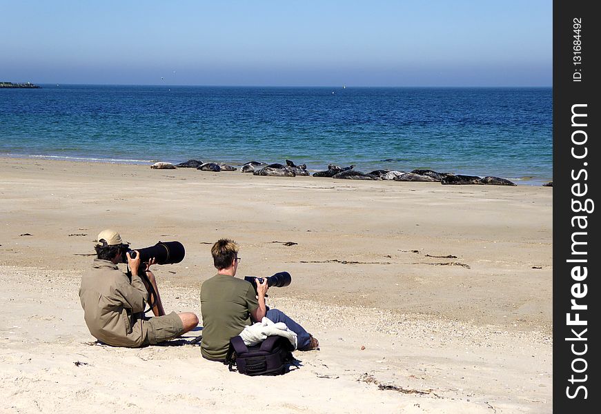 Beach, Sea, Body Of Water, Coast