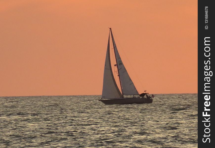Sailboat, Calm, Sail, Water Transportation