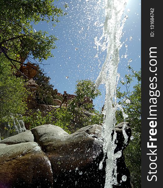 Nature, Tree, Water, Sky