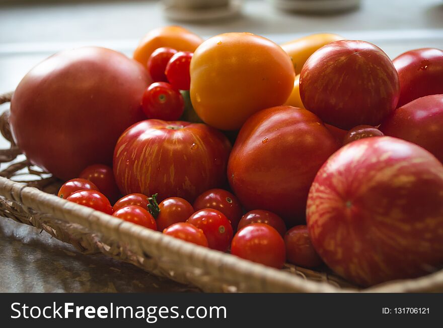 Close Up Of Freshly Picked From The Garden Tomatoes.