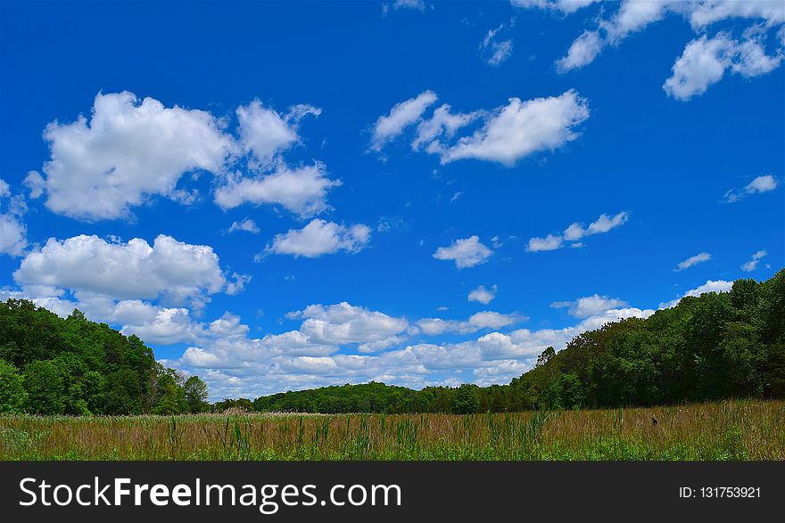 Sky, Grassland, Cloud, Ecosystem