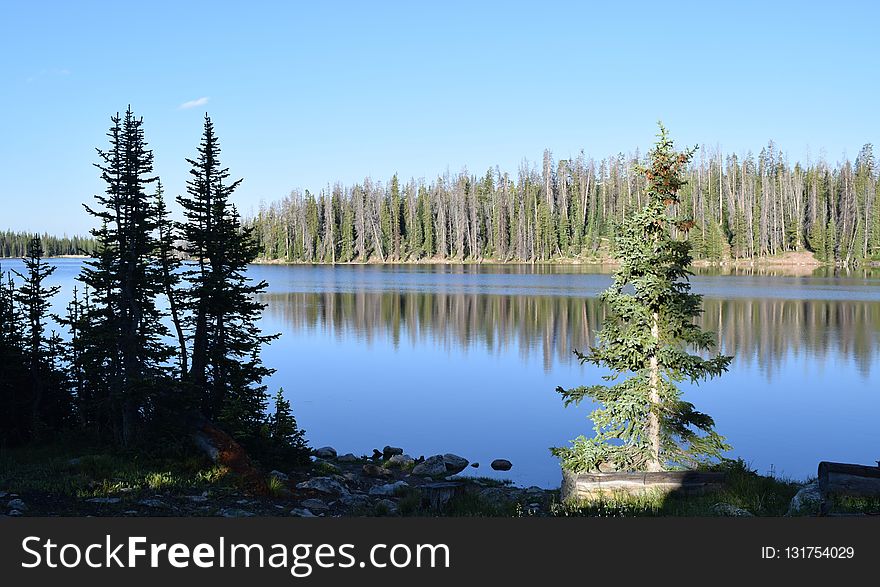 Nature, Lake, Wilderness, Reflection