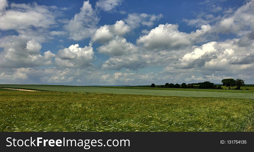 Grassland, Sky, Field, Ecosystem