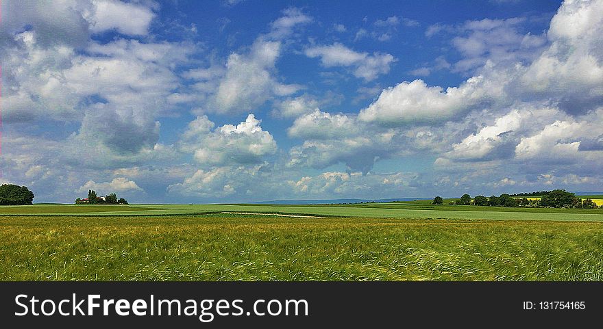 Grassland, Sky, Field, Plain