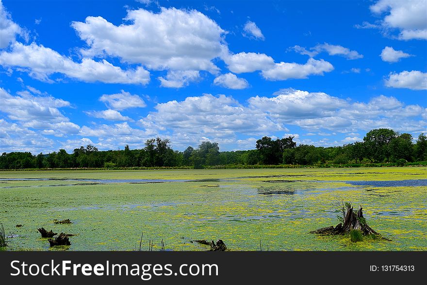 Grassland, Sky, Nature, Wetland