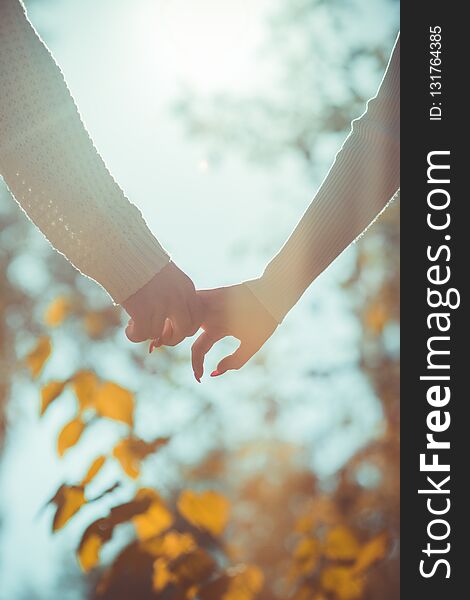 Couple In Love Walking In The Autumn Park Holding Hands