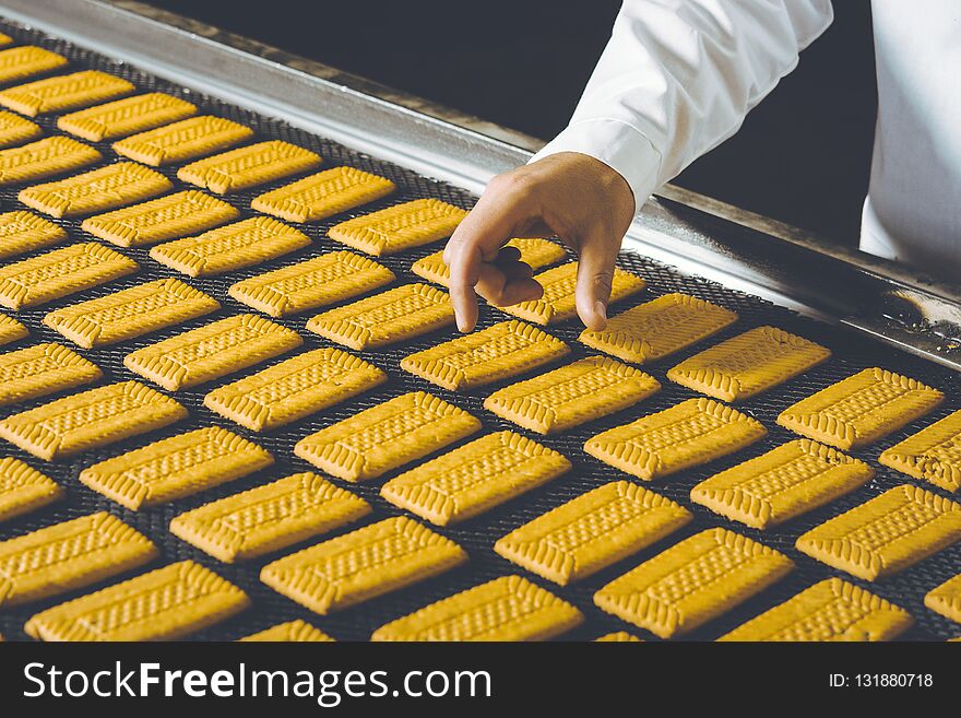 Cookie factory making pastry conveyor fresh biscuit