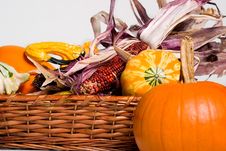 Pumpkins Twigs Basket Royalty Free Stock Image Pumpkins Twigs Basket Royalty Free Stock Image