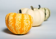 Row Of Pumpkins Stock Photography Row Of Pumpkins Stock Photography