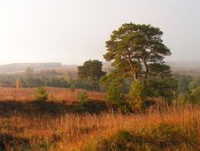 Foggy Morning. Royalty Free Stock Photography Foggy Morning. Royalty Free Stock Photography