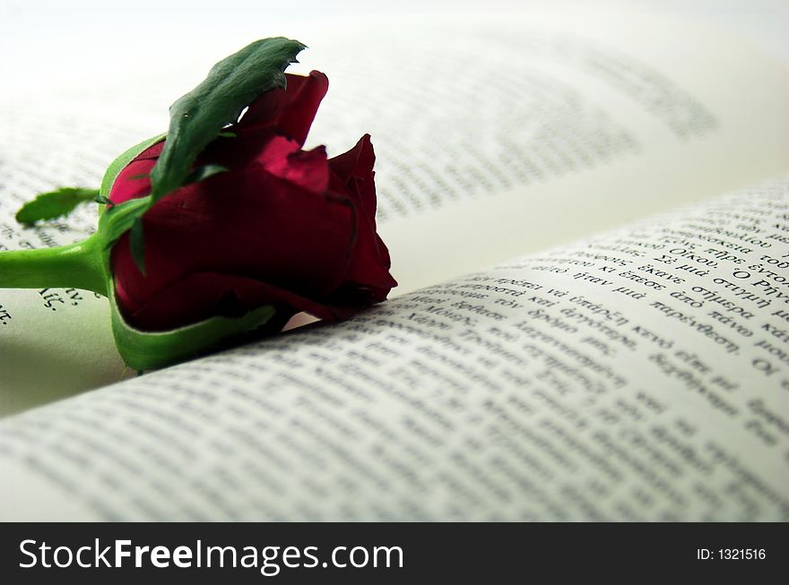 Romance photo with a red rose and a book. Romance photo with a red rose and a book