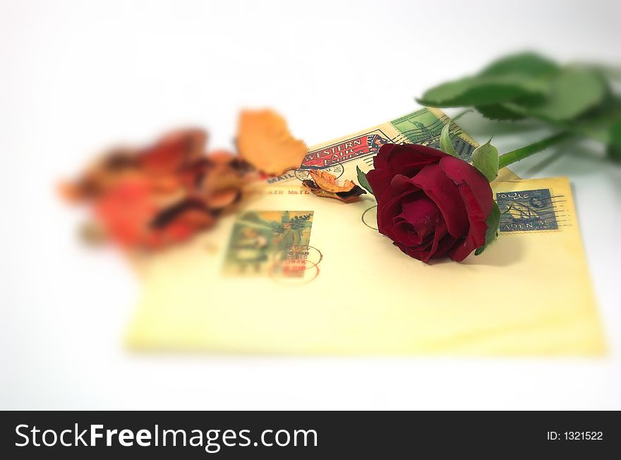 A Letter and a Rose With Blur effect