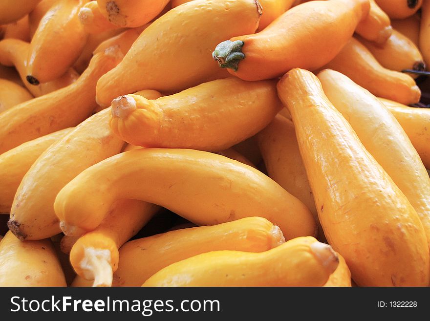 Yellow Squash at the farm stand