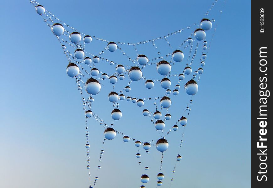 Necklace. Morning dew on a web.