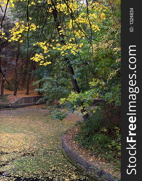 Autumn in ancient park of Moscow. Autumn in ancient park of Moscow.