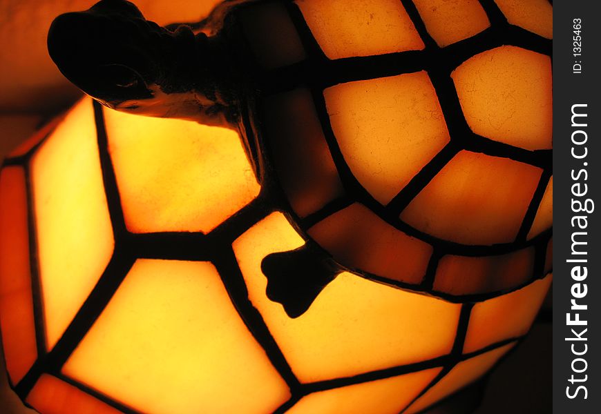 A Photo of a turtle lamp...