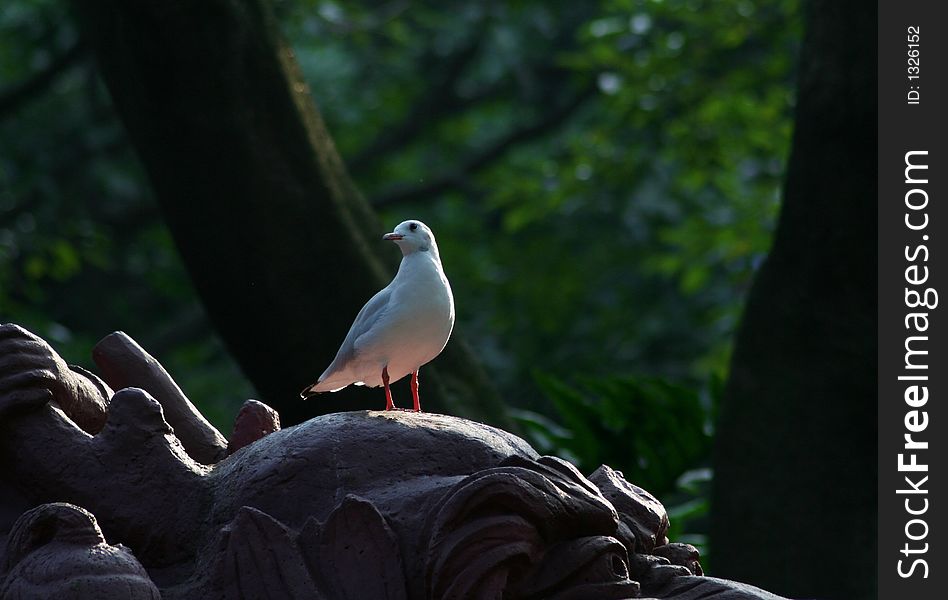 A gull standing on a sculpture