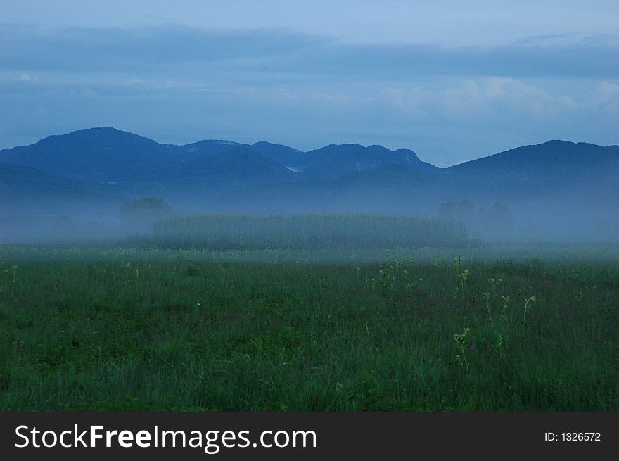 Foggy meadow with corn and mountains in the background. Foggy meadow with corn and mountains in the background