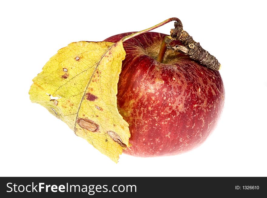 Isolated Red Apple With Leaf