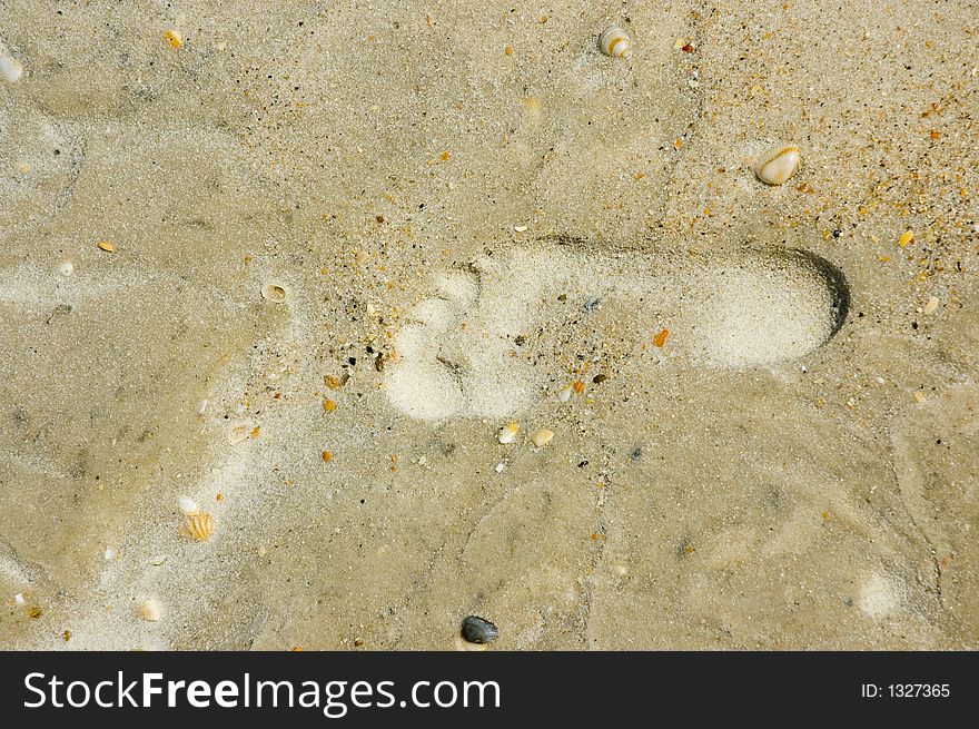 A footprint in the sand on a beach