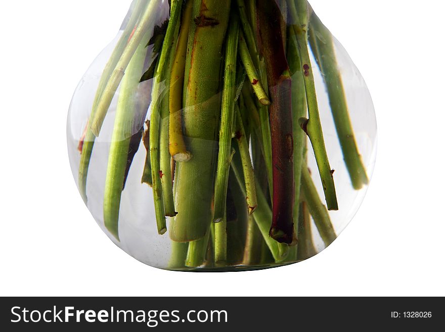 Flower arrangement stems in water in a vase