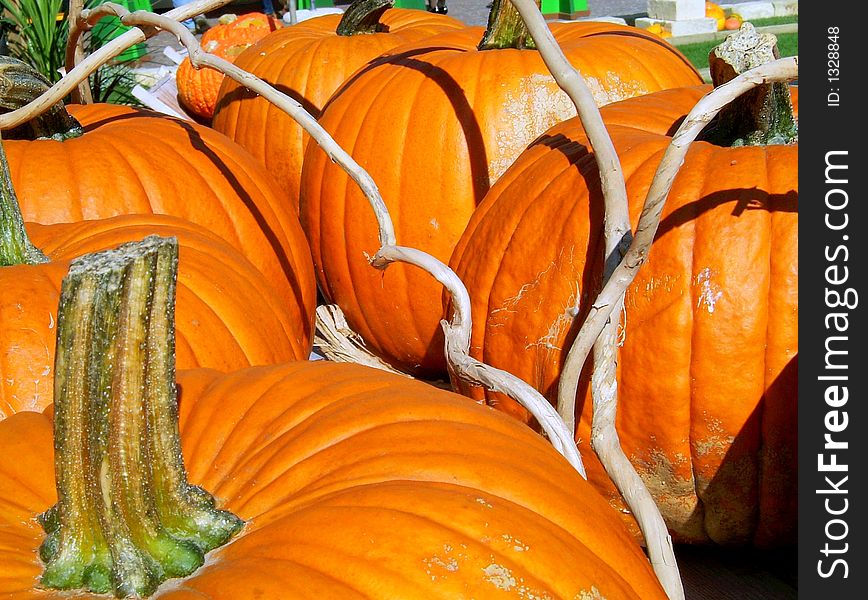 seven pumpkins with of coppers around. seven pumpkins with of coppers around