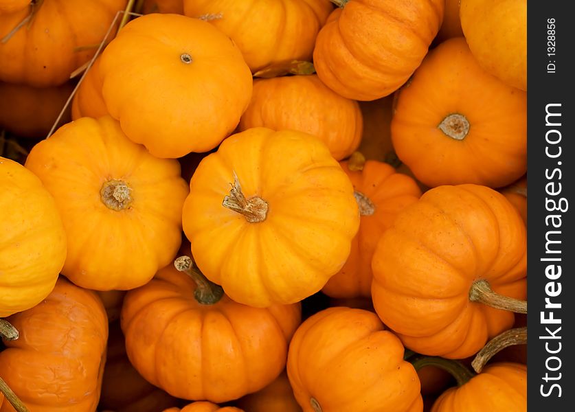 Background of orange small pumpkins