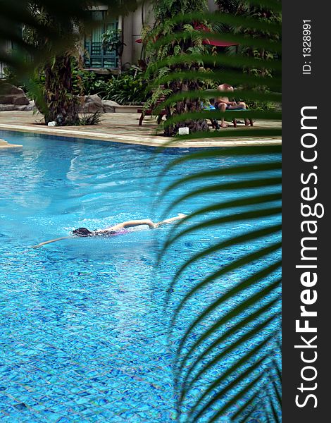 Swimming Pool And Palm Frond