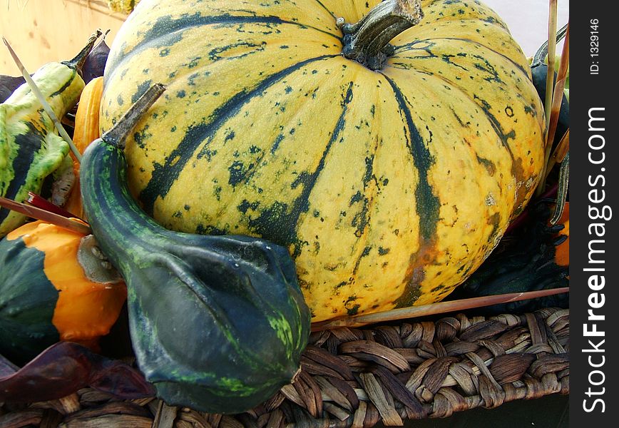 Image of a pumpkin yellow and green. Image of a pumpkin yellow and green