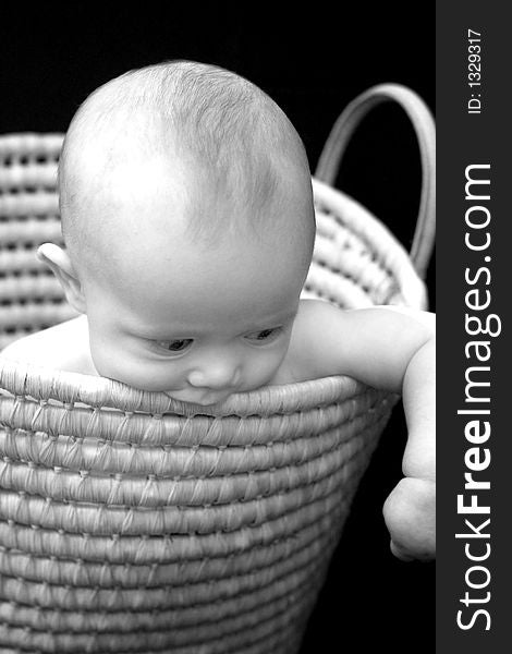 Black and white image of a baby sitting in a basket, chewing on the side of it. Black and white image of a baby sitting in a basket, chewing on the side of it