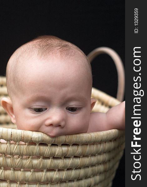 Portrait of baby boy sitting in basket. Portrait of baby boy sitting in basket