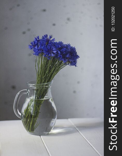 Minimalistic Still Life With Cornflowers In Glass Jug On White Rustic Wooden Background