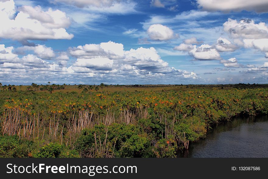 Sky, Cloud, Vegetation, Nature Reserve