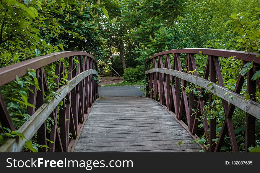 Nature, Green, Path, Walkway