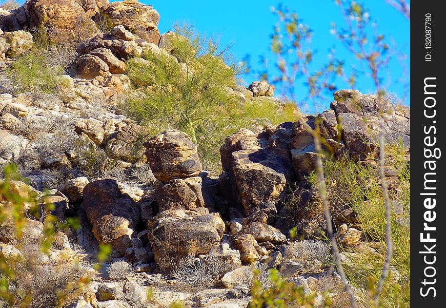 Rock, Vegetation, Nature Reserve, Plant